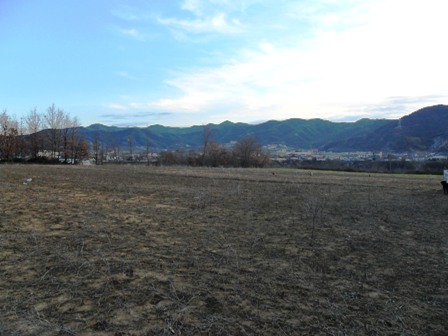 Land for sale in Vaqarr, in Tirana, (TRS-101-100)