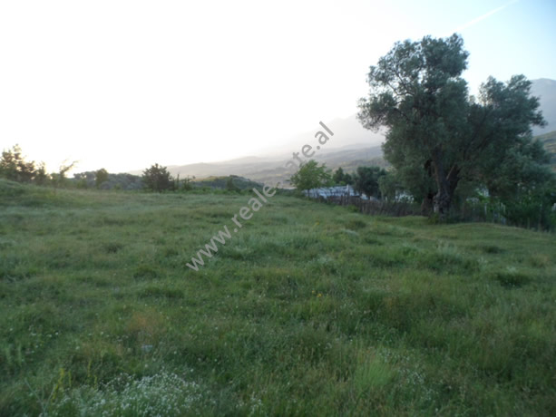 Land for sale in Berzhite village, Tirana , (TRS-712-5)