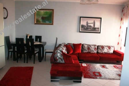 Apartment for rent in Stavri Themeli Street in Tirana, Albania (TRR-513-19)