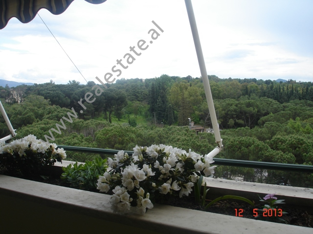 Apartment for rent overlooking the Big Park of Tirana, Albania (TRR-513-39)