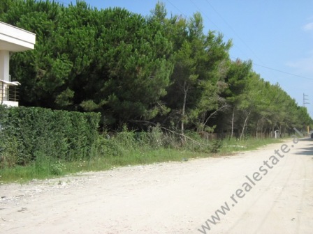 Forest Land for sale at Mali i Robit, Golem, Kavaje, Albania (KVS-814-1j)