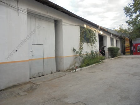 Warehouse for rent in Mine Peza Street in Tirana, Albania (TRR-1114-7j)