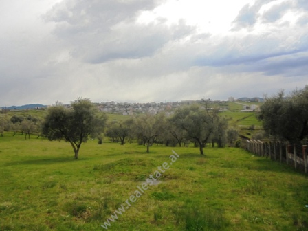 Land for sale in Tirana, near Ali Demi street, Albania