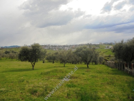 Toke ne shitje prane rruges Ali Demi ne Tirane