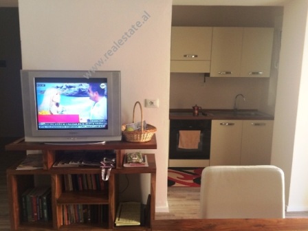 One bedroom apartment for rent in Tirana, near Dinamo Stadium, Albania (TRR-715-33b)