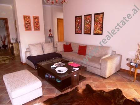 One bedroom apartment for rent in Muhedin Llagani Street in Tirana, Albania (TRR-916-39L)