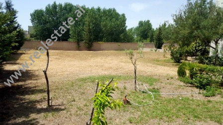 Toke per shitje buze detit ne plazhin e Velipojes, Shkoder (VLS-717-1K)