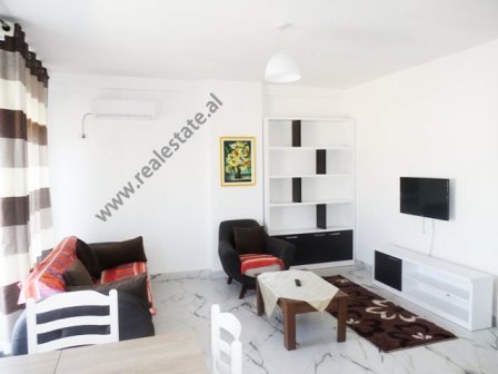 Two bedroom apartment for rent near the Artificial Lake of Tirana, Albania (TRR-1215-63K)