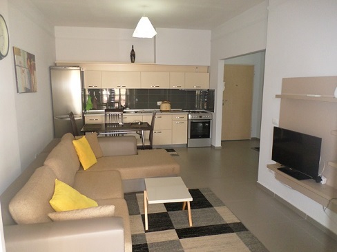 One bedroom apartment for rent close to Myslym Shyri Street in Tirana , Albania