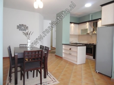 Two bedroom apartment for rent close to Elbasani Street in Tirana, Albania (TRR-618-15L)