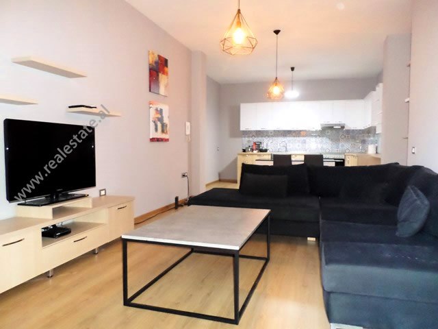 Two bedroom apartment for sale in Bill Klinton Street in Tirana, Albania (TRS-319-57L)