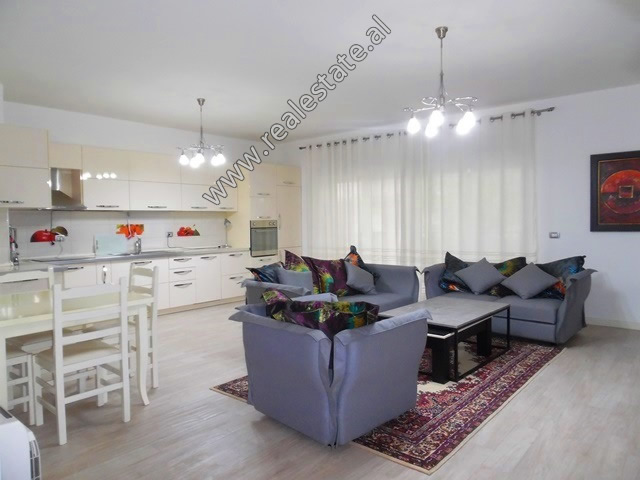 Modern three bedroom apartment for rent near Vaso Pasho Street in Tirana , Albania (TRR-1114-9L)