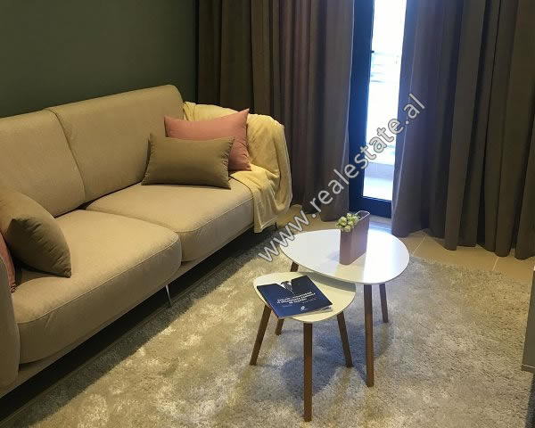 Modern apartment 1+1 for rent near Kavaja street in Tirana, Albania (TRR-419-21T)