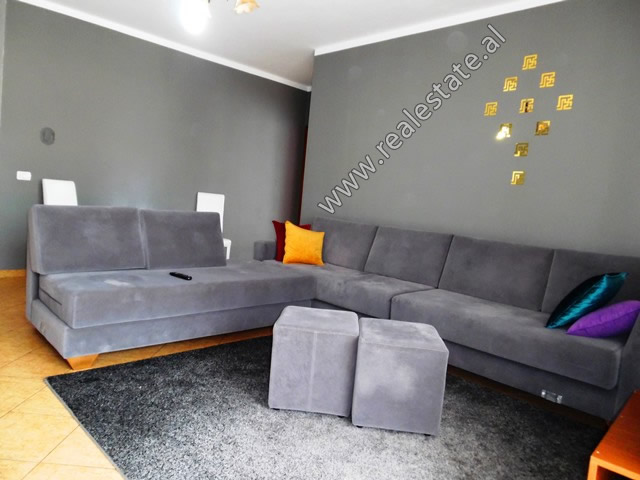 Two bedroom apartment for rent close to Zoo Park in Tirana, Albania (TRR-519-4L)
