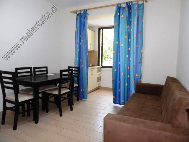 Two bedroom apartment for rent close to Myslym Shyri Street in Tirana, Albania (TRR-519-7L)