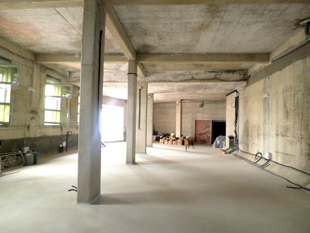  Warehouse for rent near Botanic Garden in Tirana, Albania. (TRR-519-21T)