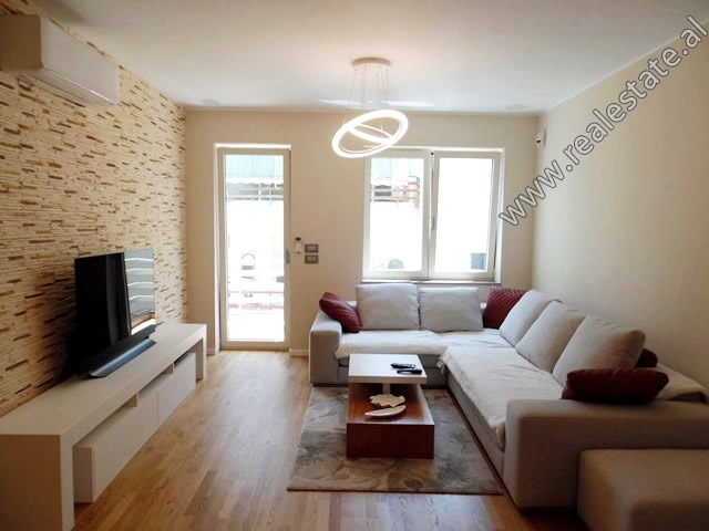 Modern two bedroom apartment for rent close to the Zoo Park in Tirana, Albania (TRR-619-17L)