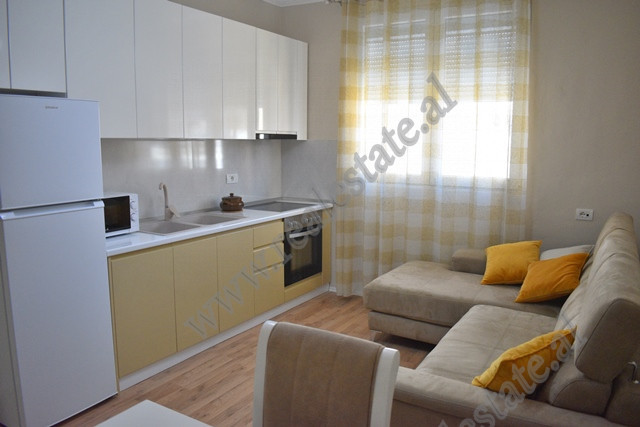 One bedroom apartment for rent in Vasil Shanto area in Tirana, Albania