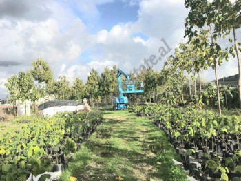 Land for sale in Maminas area in Durres.
It is located close to the main road with direct access to Land for sale in Maminas area in Durres.
It is located close to the main road with direct access to