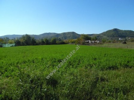 Land for sale in Tirana-Elbasan Street in Tirana

The land is located on the main road and has a s