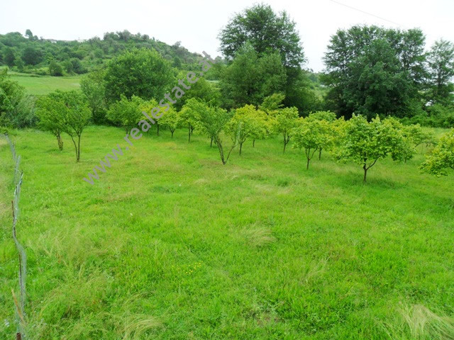 Land for sale in Prush area in Tirana.

It is located some meters away from the main street, recen