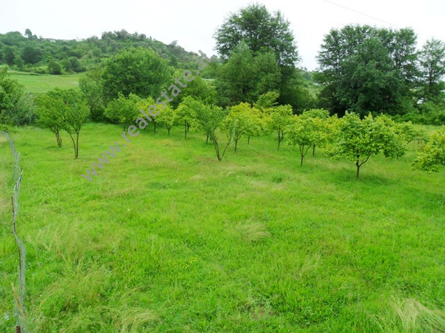 Land for sale in Prush area in Tirana.

It is located some meters away from the main street, recen