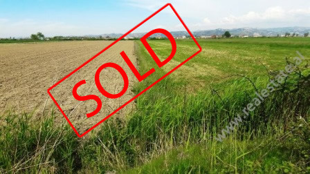 Land for sale in Peza Street close to Çerme area.
It offers an area of 8.940m2 divided in 2 Land for sale in Peza Street close to Çerme area.
It offers an area of 8.940m2 divided in 2