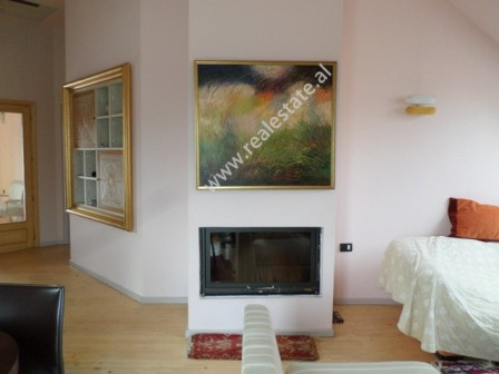 Apartament 2+1 papafingo ne shitje ne rrugen Liman Kaba, prane Kompleksit Dinamo ne Tirane.

Ndodh