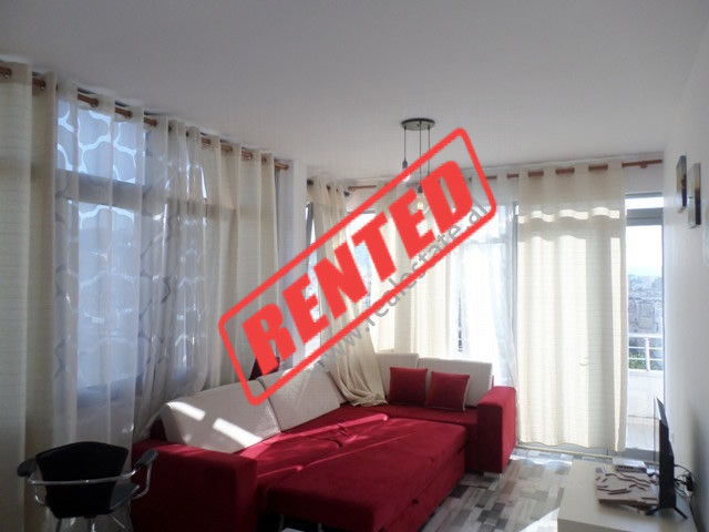 One bedroom apartment for rent in Vasil Shanto area, in Sulejman Delvina street in Tirana, Albania.
