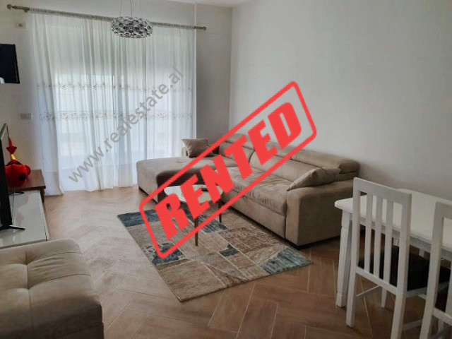 One bedroom apartment for rent above the Zoologic Garden in Tirana, Albania.

The house is located