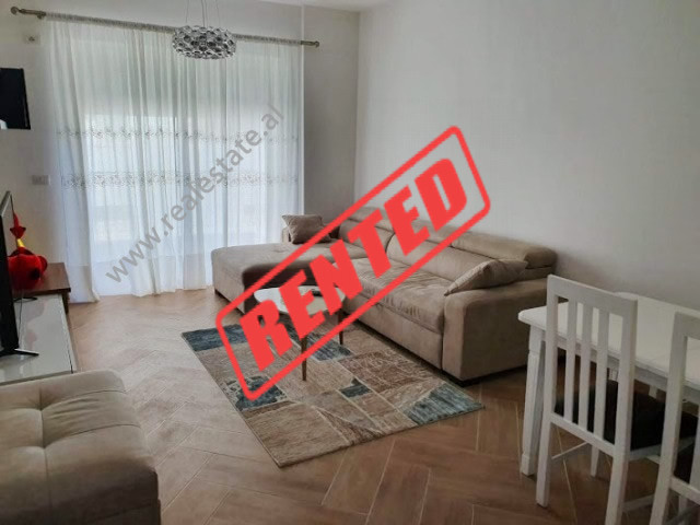 One bedroom apartment for rent above the Zoologic Garden in Tirana, Albania.

The house is located