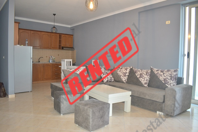 Apartment for rent in Vace Zela Street, near Delijorgji complex in Tirana.
The house is located on 