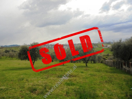 



Land for sale near Qendra Boterore Bektashiane in Tirana.

Positioned 50 meters from the m