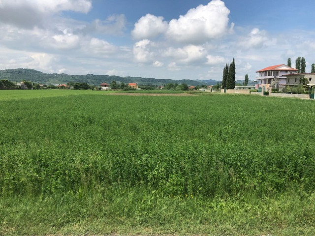 Toke per shitje ne fshatin Domje , Tirane , (TRS-518-52a)