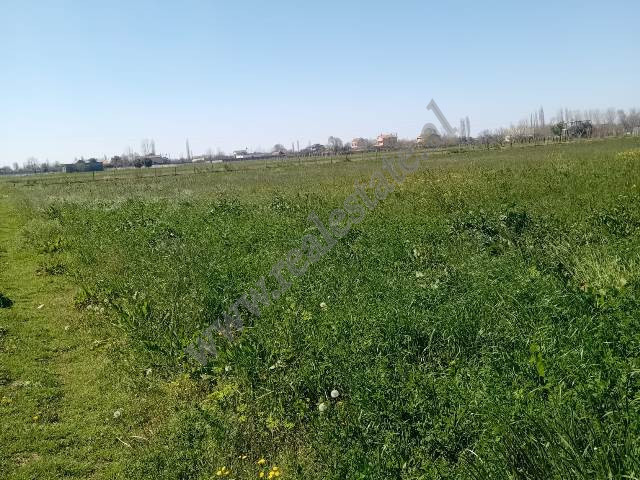 Toke per shitje ne zonen e Tales ne Lezhe
