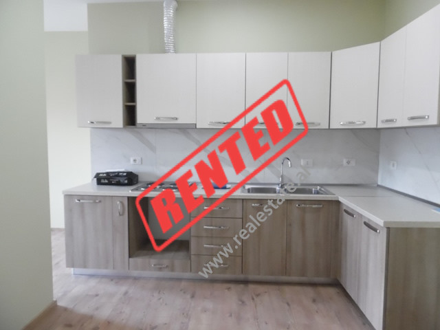 Apartament 1+1 me prane zones se Liqenit te Thate ne Tirane, (TRR-118-1d)