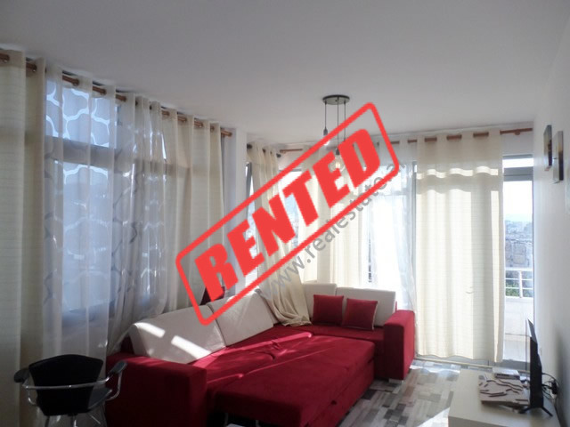 Apartament 1+1 me qera ne zonen e Vasil Shantos ne Tirane (TRR-413-26S)